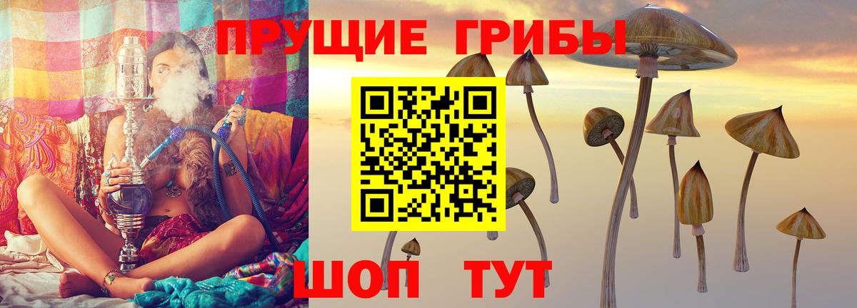 Галлюциногенные грибы Cubensis Усть-Илимск