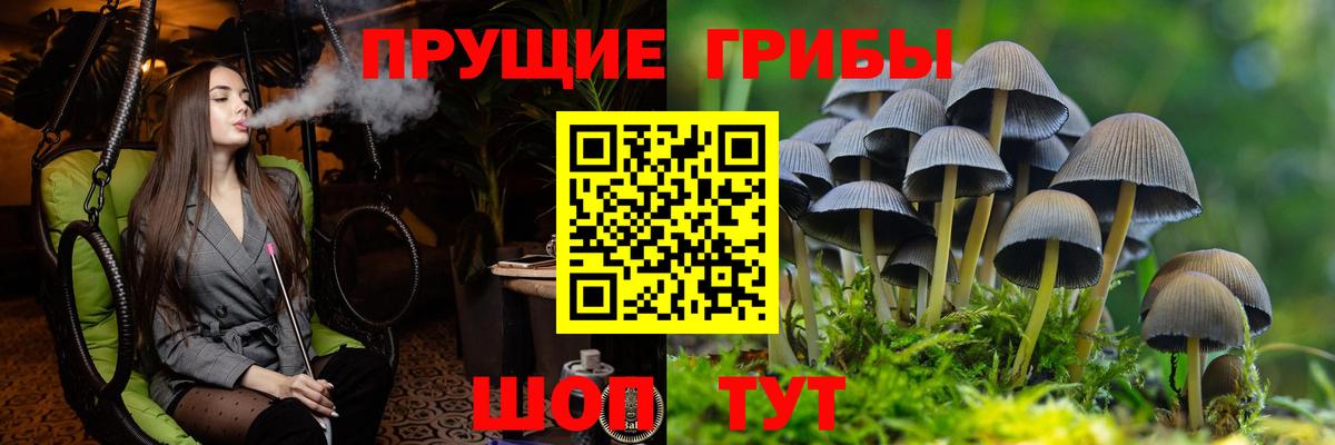Усть-Илимск  Галлюциногенные грибы Cubensis  Псилоцибиновые грибы мицелий  Вход с VPN 